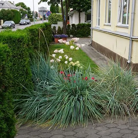 Apartamentai Vida Апартаменты Паланга