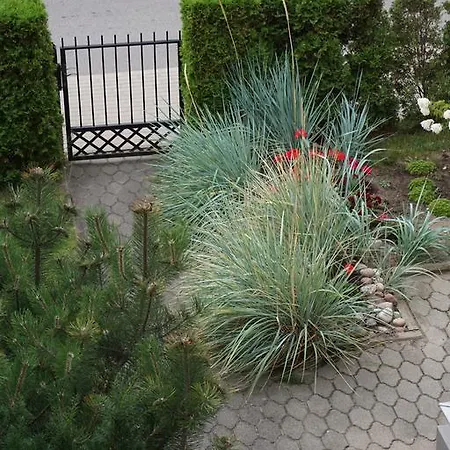 Апартаменты Apartamentai Vida