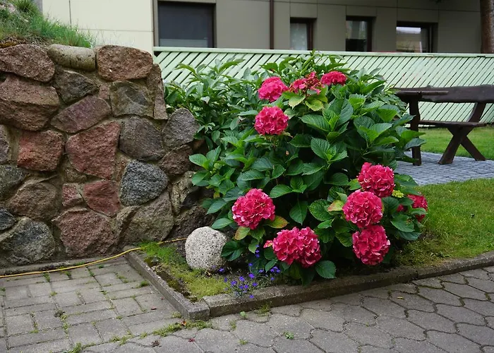 דירה Apartamentai Vida