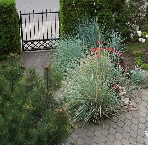 דירה Apartamentai Vida